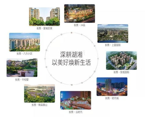 买好房，找长房 承诺十六载，物业服务铸就坚实后盾